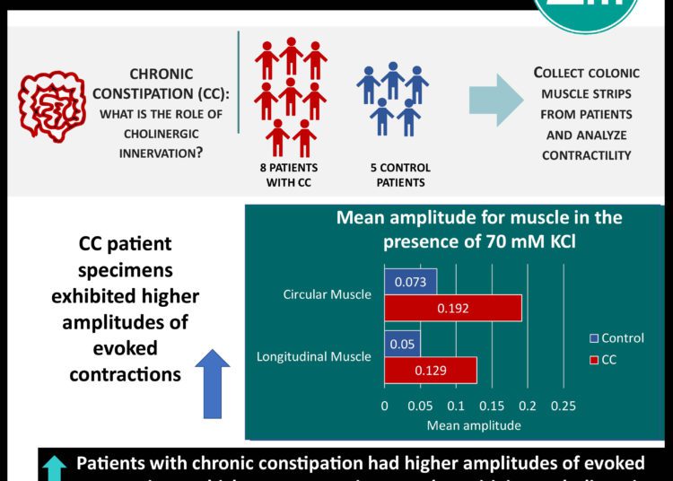 Characterization of gut contractility and microbiota in patients with severe chronic constipation