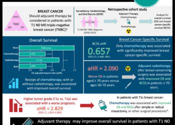 #VisualAbstract: Evaluation of adjuvant treatments for T1 N0 M0 triple-negative breast cancer