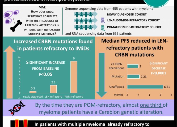 #VisualAbstract Multiple Cereblon genetic alterations were associated with acquired resistance to lenalidomide or pomalidomide in multiple myeloma