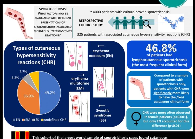 #VisualAbstract Sporotrichosis-associated cutaneous hypersensitivity reactions occur more frequently in the fixed cutaneous form