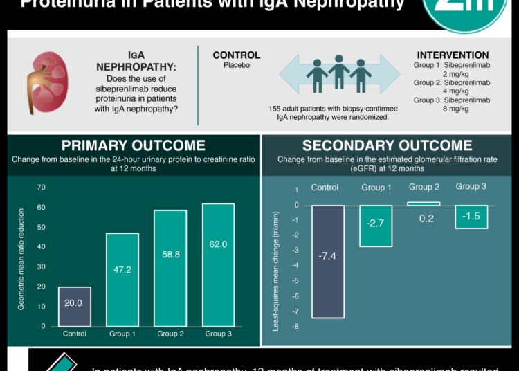#VisualAbstract: Sibeprenlimab Significantly Reduces Proteinuria in Patients with IgA Nephropathy