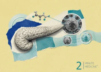 An illustration of the pancreas, highlighting cancer cells related to pancreatic cancer and molecular structures, indicating targeted research in oncology.