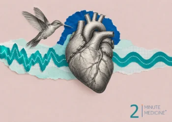 Atrial fibrillation collage: an engraved heart, a hovering hummingbird and a teal ribbon that goes from jagged to smooth