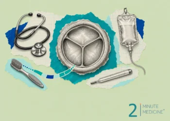 Collage on endocarditis: an engraved heart valve, a stethoscope, a thermometer, a blank IV bag and a toothbrush