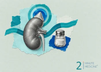 Adrenal gland imaging collage: a kidney with the adrenal gland on top inside teal and blue rings, beside a glass salt shaker