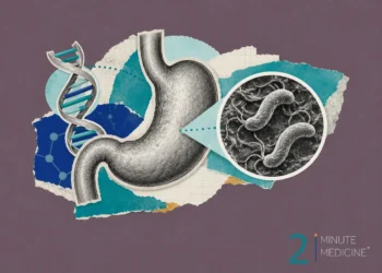 An illustration featuring a stomach, DNA helix, and a close-up of Helicobacter pylori bacteria, highlighting genetic susceptibility to gastric conditions.