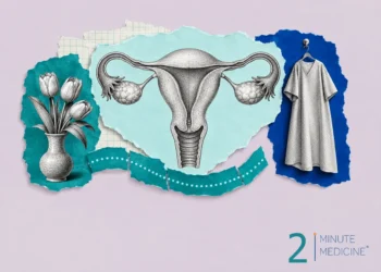 Hysterectomy collage: a drawing of the uterus, fallopian tubes and ovaries, a hospital gown on a hook and a vase of tulips