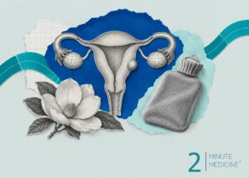 Uterine fibroids collage: an engraved uterus with tubes, ovaries and one small fibroid, a magnolia and a hot-water bottle