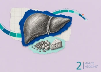 Cirrhosis collage: an engraved liver with a finely textured surface above lentils, chickpeas and a wedge of cheese