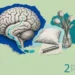Coma collage: an engraved brain and brainstem traced by a teal ribbon, a hospital pillow, a penlight and a vase of flowers