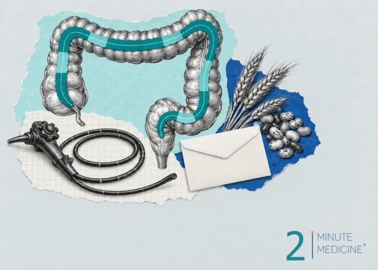 Colorectal cancer collage: a drawing of the large intestine, a coiled colonoscope, a stool test envelope and wheat stalks