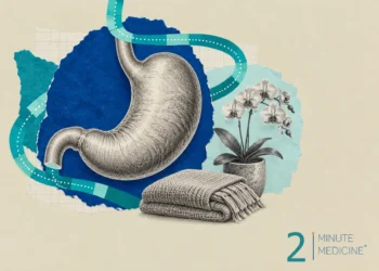 Stomach cancer collage: an engraved stomach on torn blue paper beside a potted orchid and a folded knit blanket
