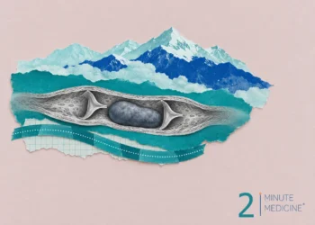 Deep vein thrombosis collage: a cutaway vein with two valves and a smooth gray clot, under paper mountains